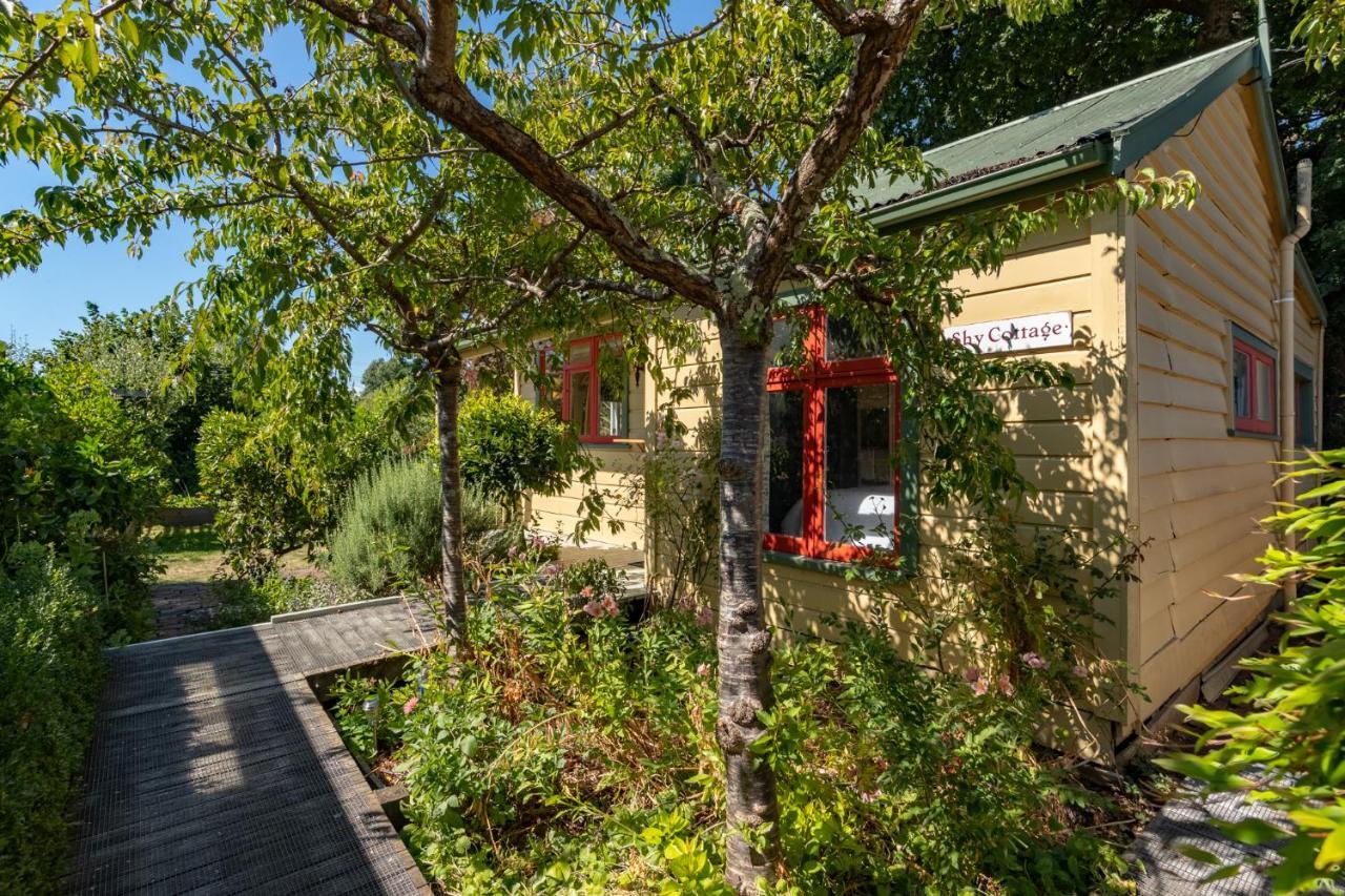 Shy Cottage And Studio Ґрейтаун Екстер'єр фото
