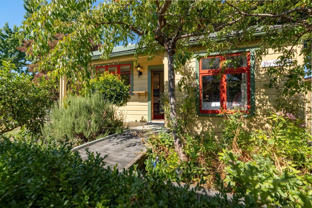 Shy Cottage And Studio Ґрейтаун Екстер'єр фото
